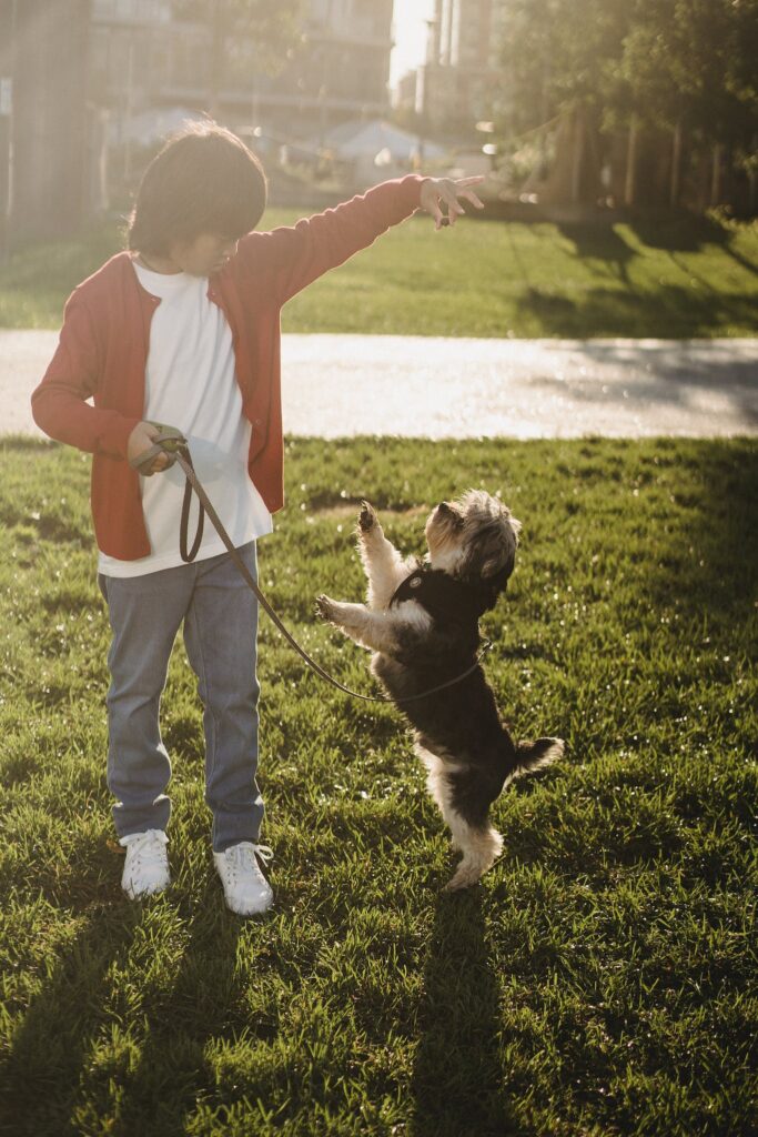 A kid showing command to dog while training outdoors